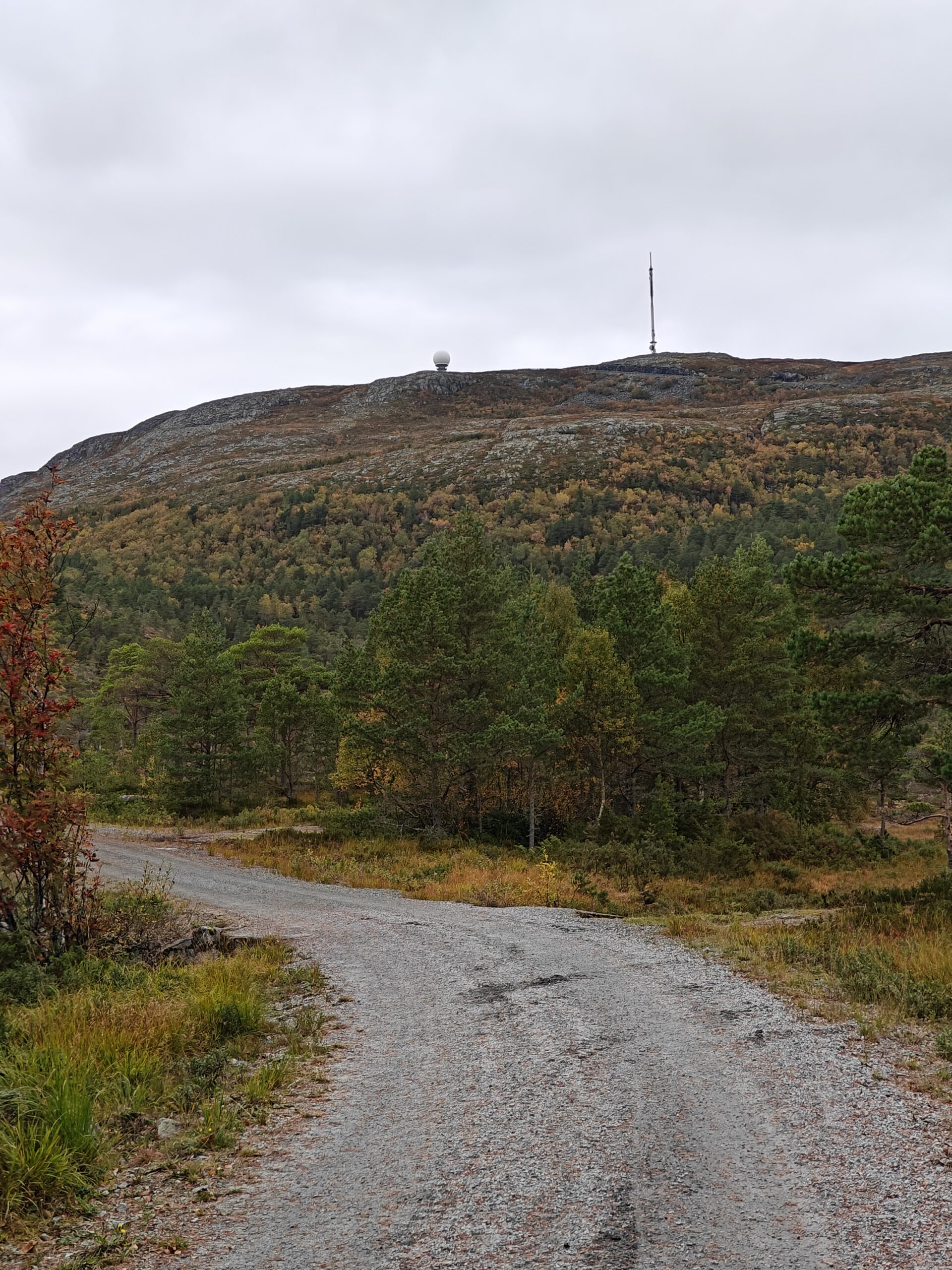 First Activator Kopparen (LA/ST-217)